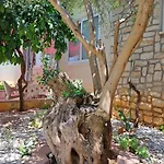דירה Jelaska