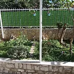 Jelaska