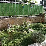 Jelaska מרינה