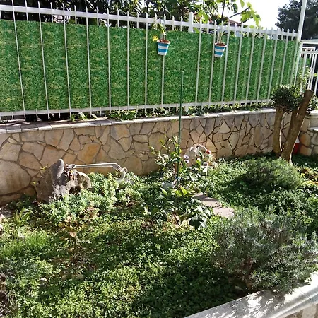 Jelaska مارينا