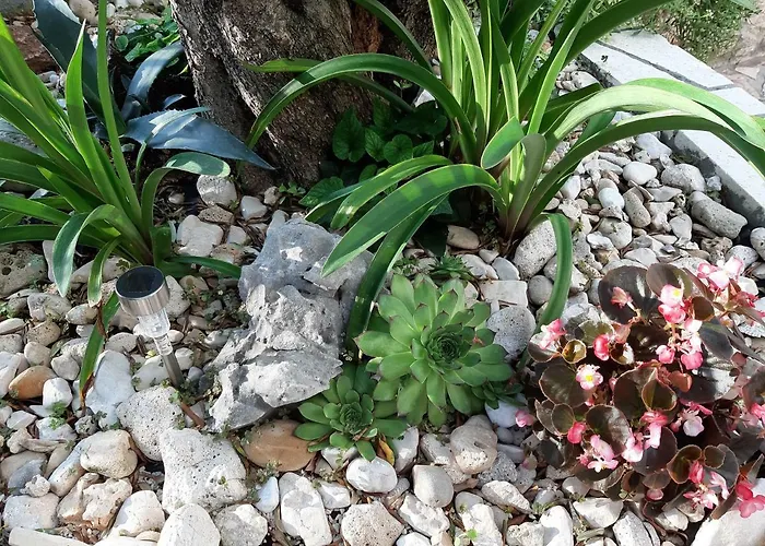 Jelaska 아파트 산책길